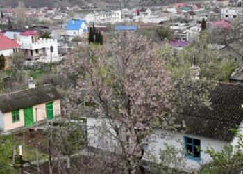 كريوتشكوف: العاصفة التي ضربت سواحل القرم تسببت في انقطاع التيار الكهربائي عن نحو نصف مليون شخص