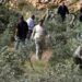 مستوطنون يجبرون مزارعين فلسطينيين على مغادرة أراضيهم في بلدة كفر الديك