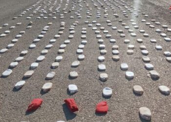 الصورة نقلا عن سانا